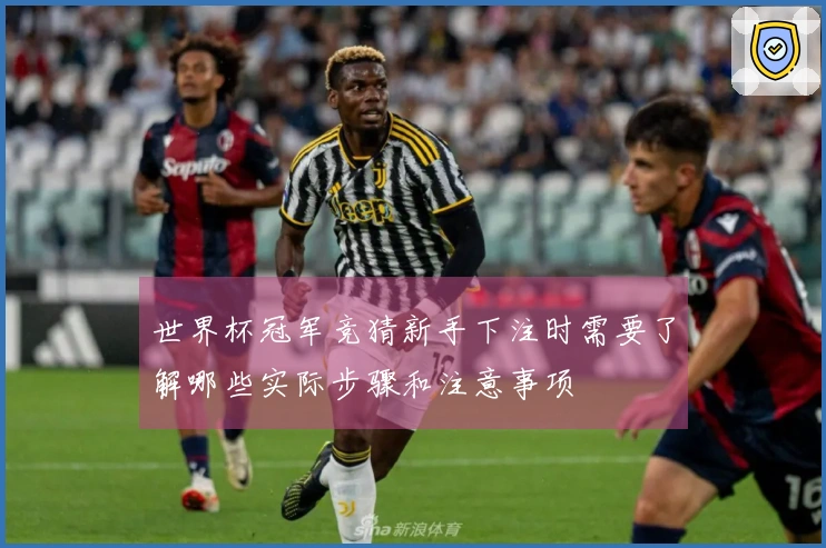 世界杯冠军竞猜新手下注时需要了解哪些实际步骤和注意事项