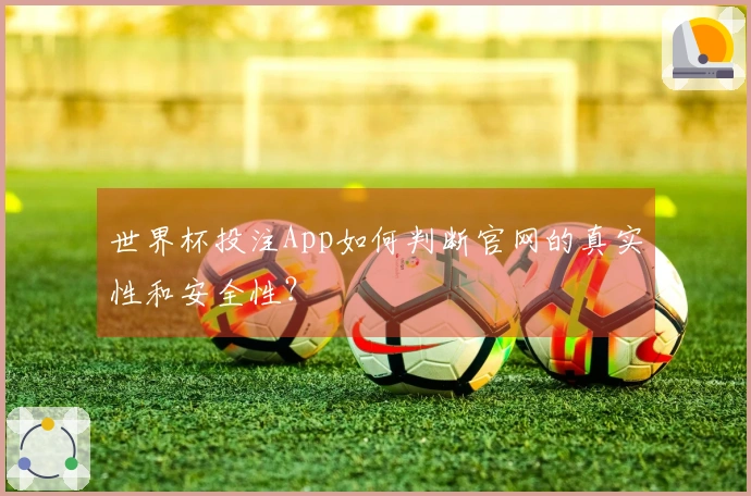 世界杯投注App如何判断官网的真实性和安全性？