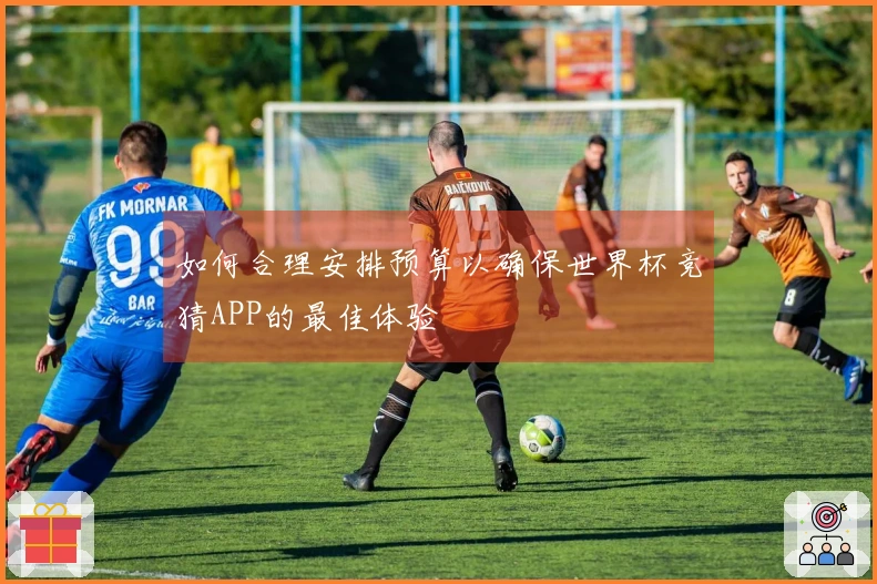 如何合理安排预算以确保世界杯竞猜APP的最佳体验