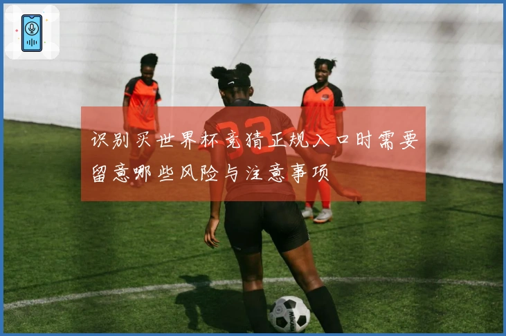 识别买世界杯竞猜正规入口时需要留意哪些风险与注意事项
