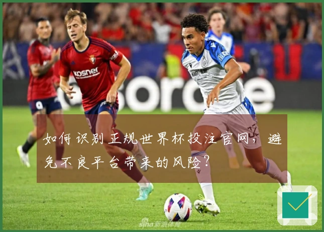 如何识别正规世界杯投注官网，避免不良平台带来的风险？