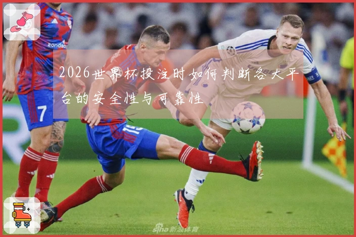 2026世界杯投注时如何判断各大平台的安全性与可靠性
