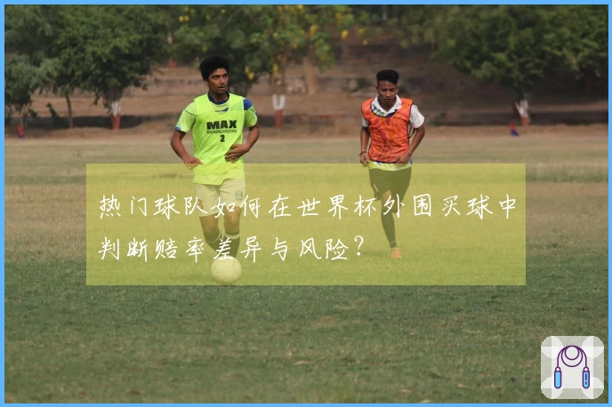热门球队如何在世界杯外围买球中判断赔率差异与风险？