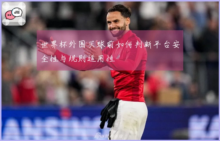 世界杯外围买球前如何判断平台安全性与规则适用性