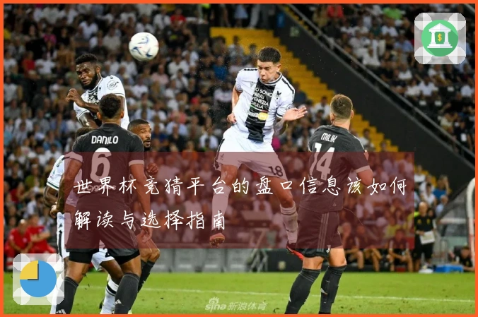 世界杯竞猜平台的盘口信息该如何解读与选择指南