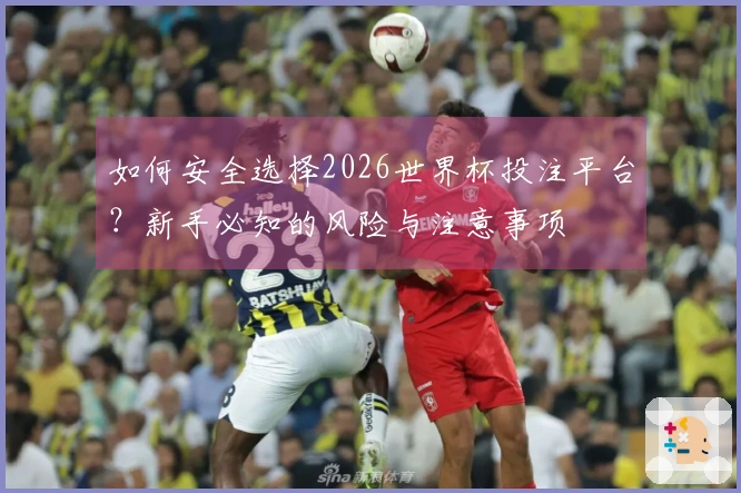 如何安全选择2026世界杯投注平台？新手必知的风险与注意事项