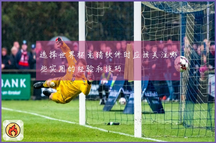 选择世界杯竞猜软件时应该关注哪些实用的经验和技巧