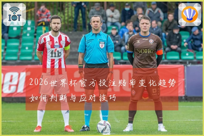 2026世界杯官方投注赔率变化趋势如何判断与应对技巧