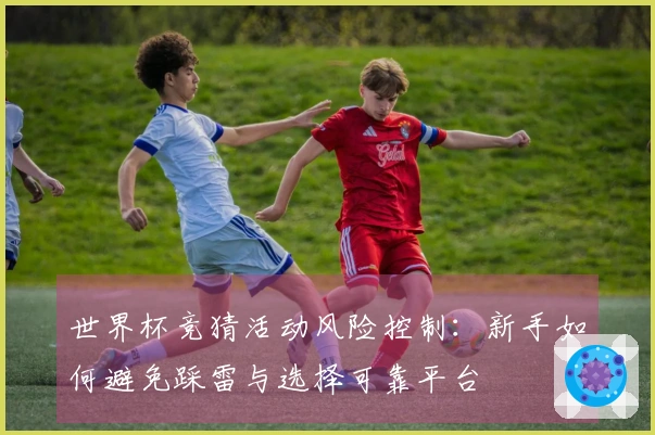世界杯竞猜活动风险控制：新手如何避免踩雷与选择可靠平台