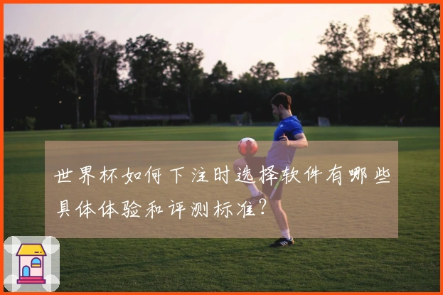 世界杯如何下注时选择软件有哪些具体体验和评测标准?