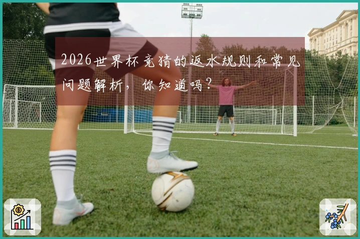 2026世界杯竞猜的返水规则和常见问题解析，你知道吗？