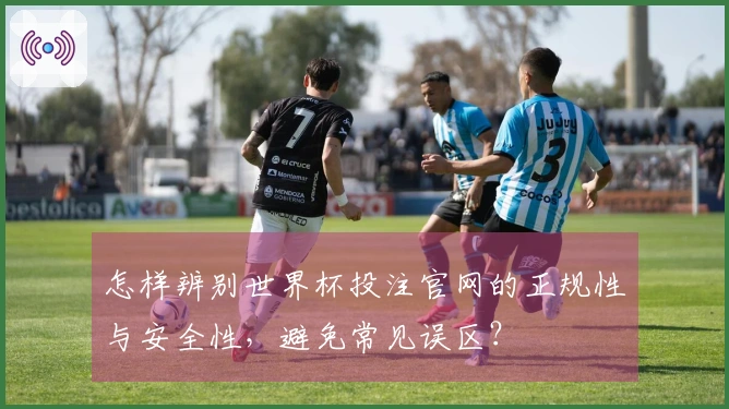 怎样辨别世界杯投注官网的正规性与安全性，避免常见误区？
