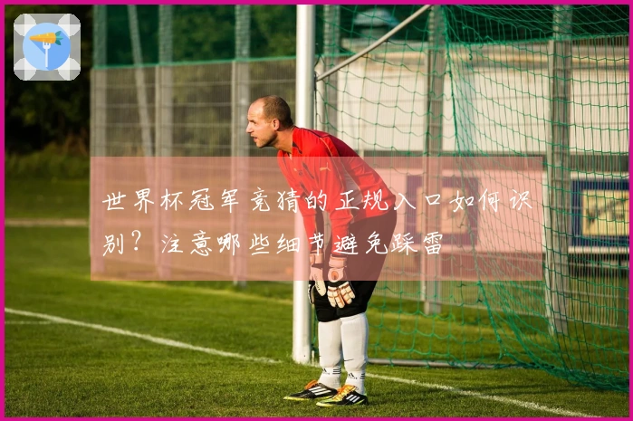 世界杯冠军竞猜的正规入口如何识别？注意哪些细节避免踩雷