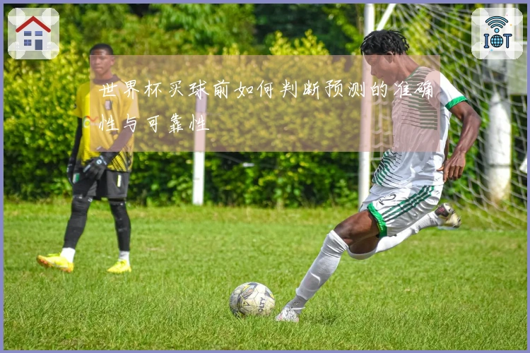 世界杯买球前如何判断预测的准确性与可靠性