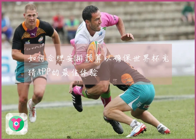 如何合理安排预算以确保世界杯竞猜APP的最佳体验