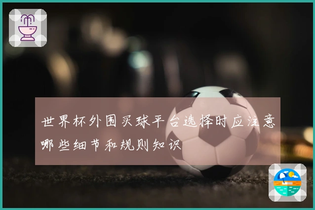 世界杯外围买球平台选择时应注意哪些细节和规则知识